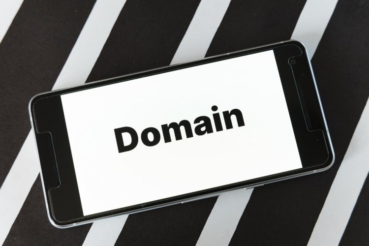 Domain Nasıl &Ccedil;alışır